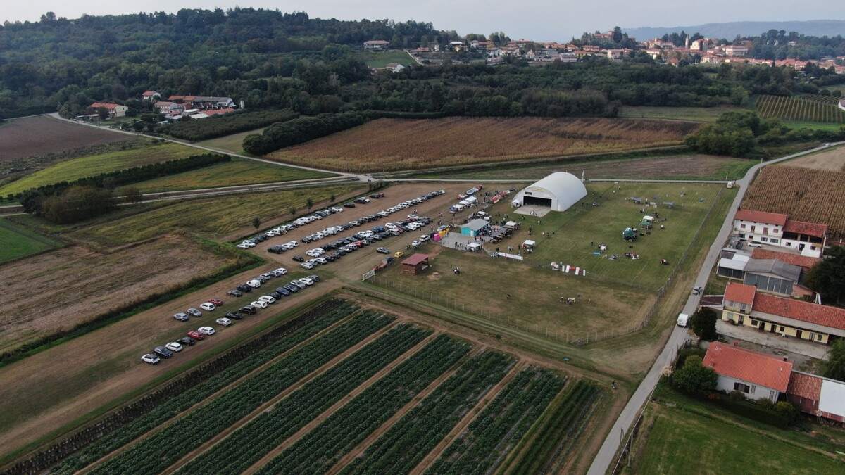 Antonio Puccio Center, veduta aerea