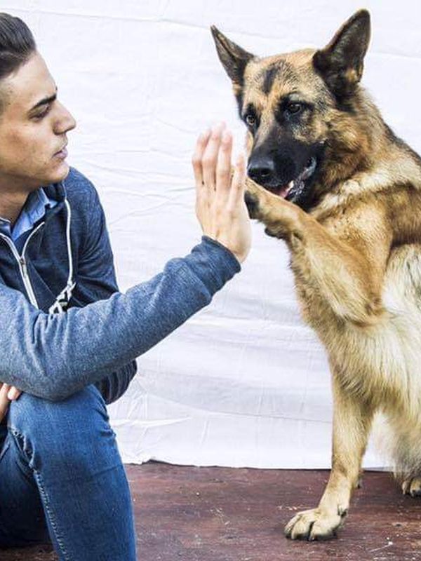 Antonio Puccio da giovane con Kira, pastore tedesco, negli anni del riconoscimento ENCI